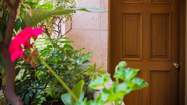A wooden door with a "NO FUMAR" sign, a framed sign with a tree and text, and a number "106" on the wall. - Hotel Santa María (Mexico City)