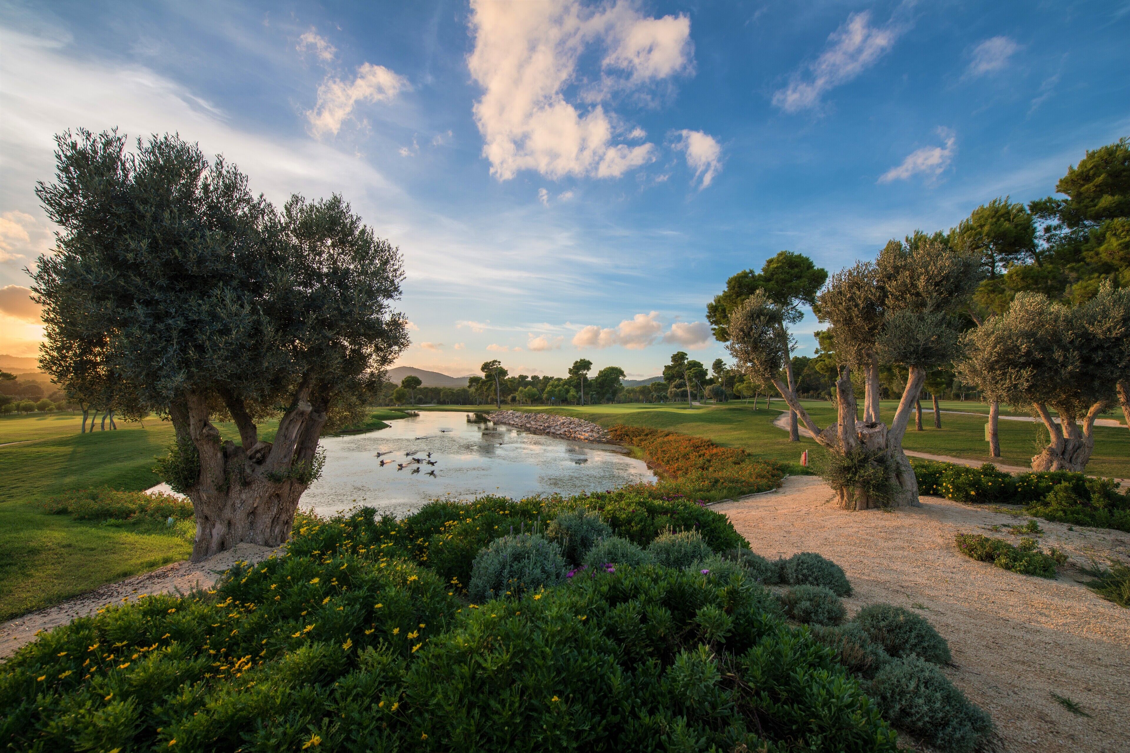 Un paisaje tranquilo con un estanque, árboles y un campo de golf.