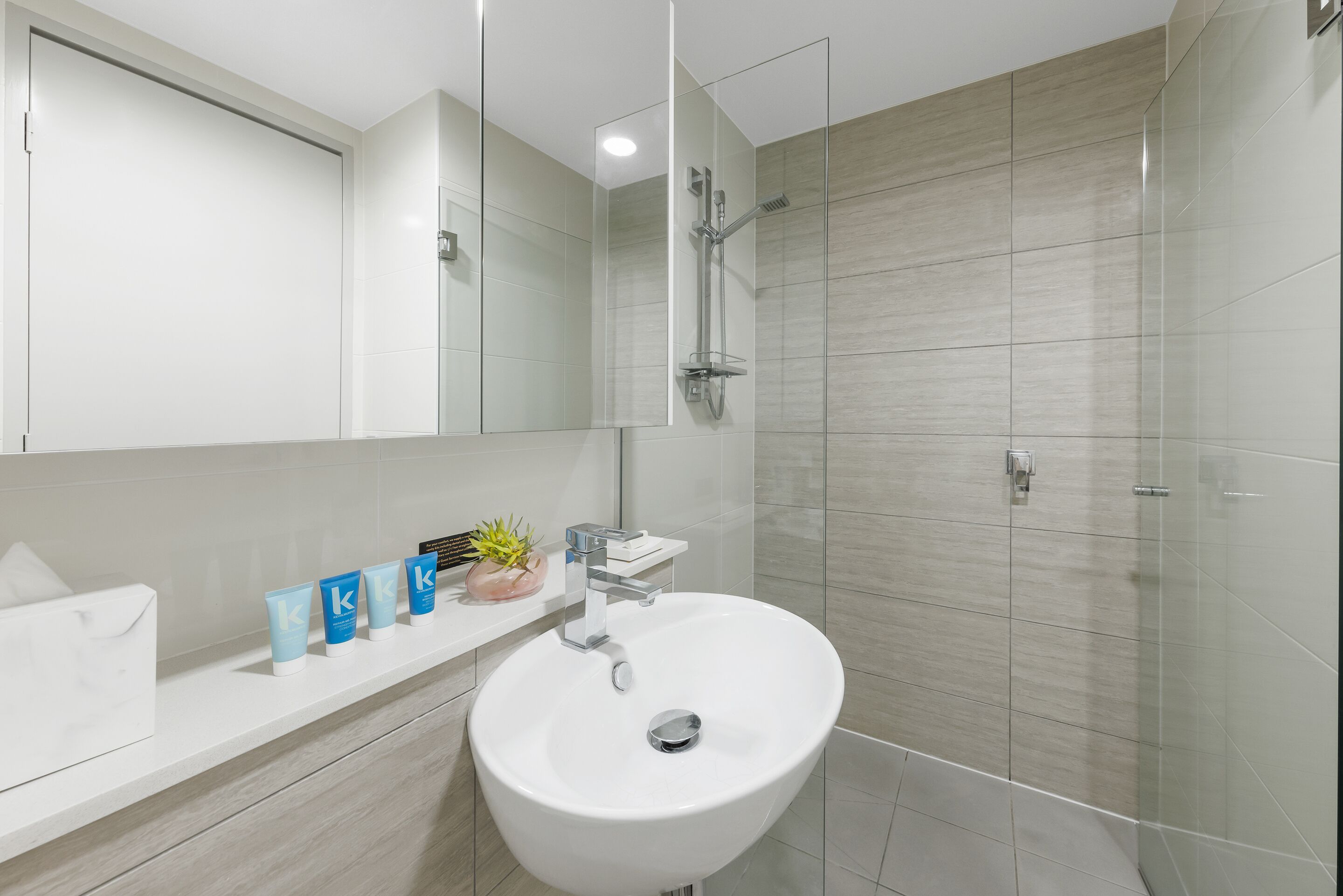 A modern bathroom with a white sink, a glass shower enclosure, and a mirror above the sink.
