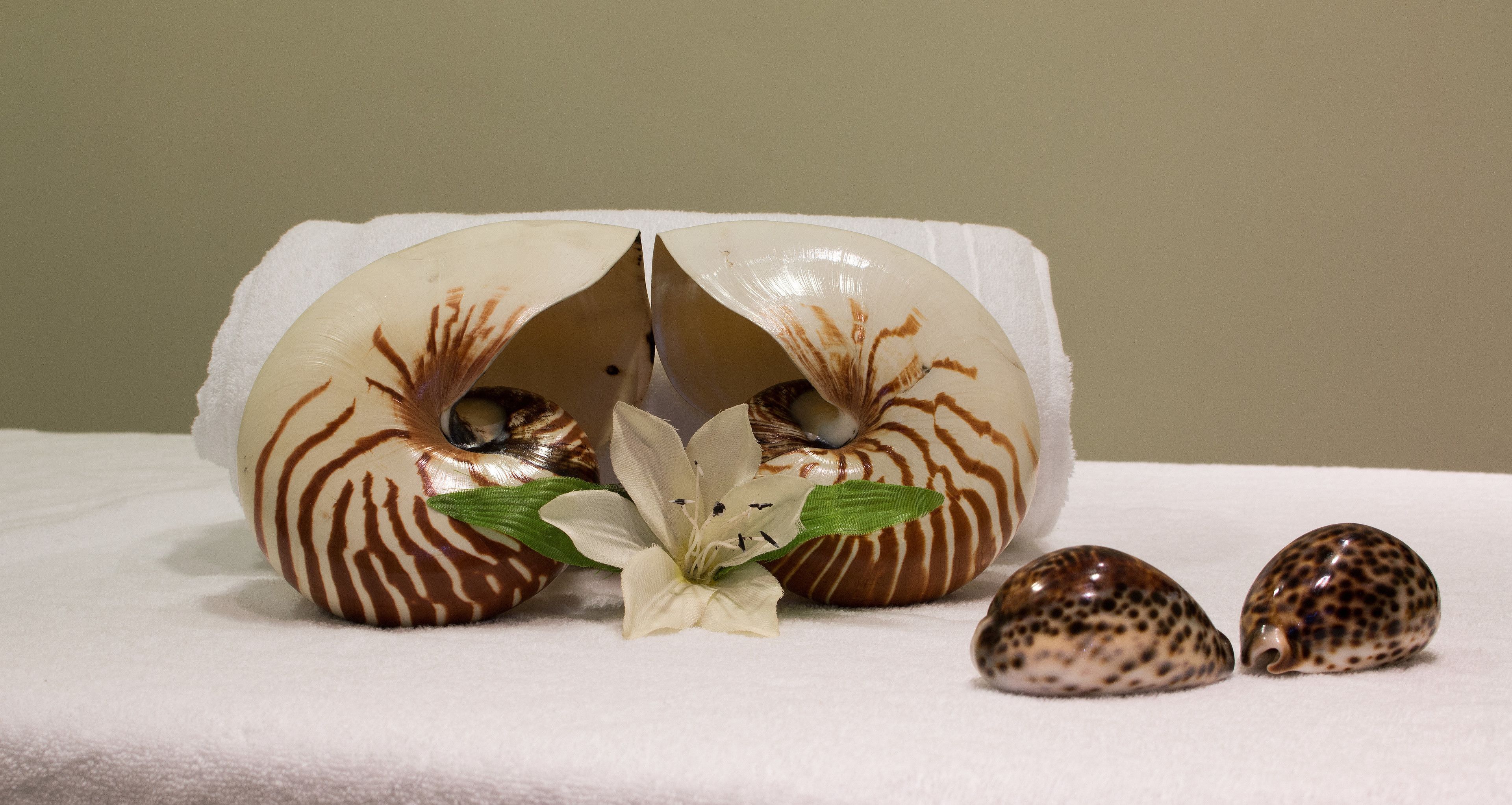 Foto - Senator Mar Menor