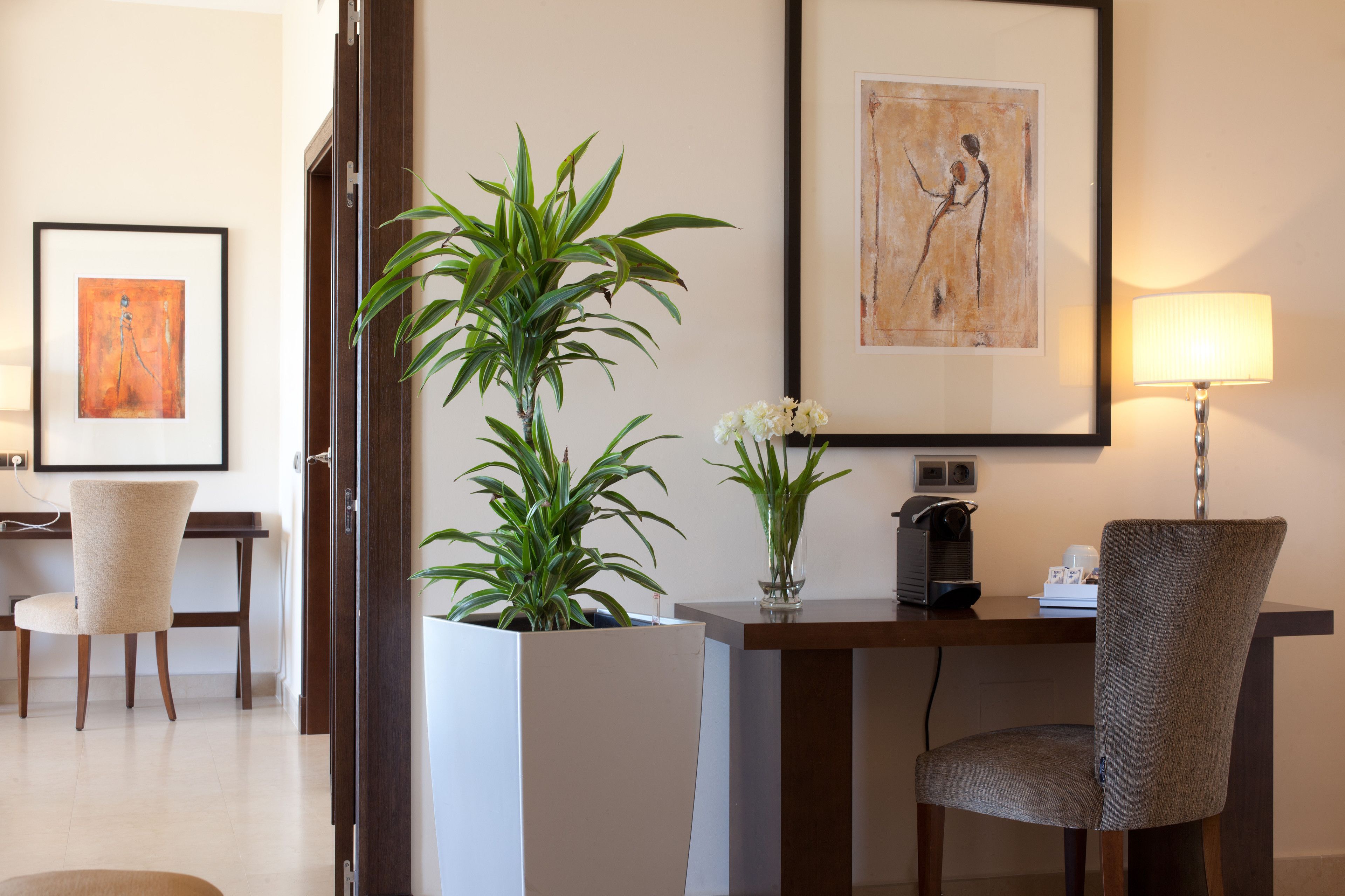 Foto - Senator Mar Menor