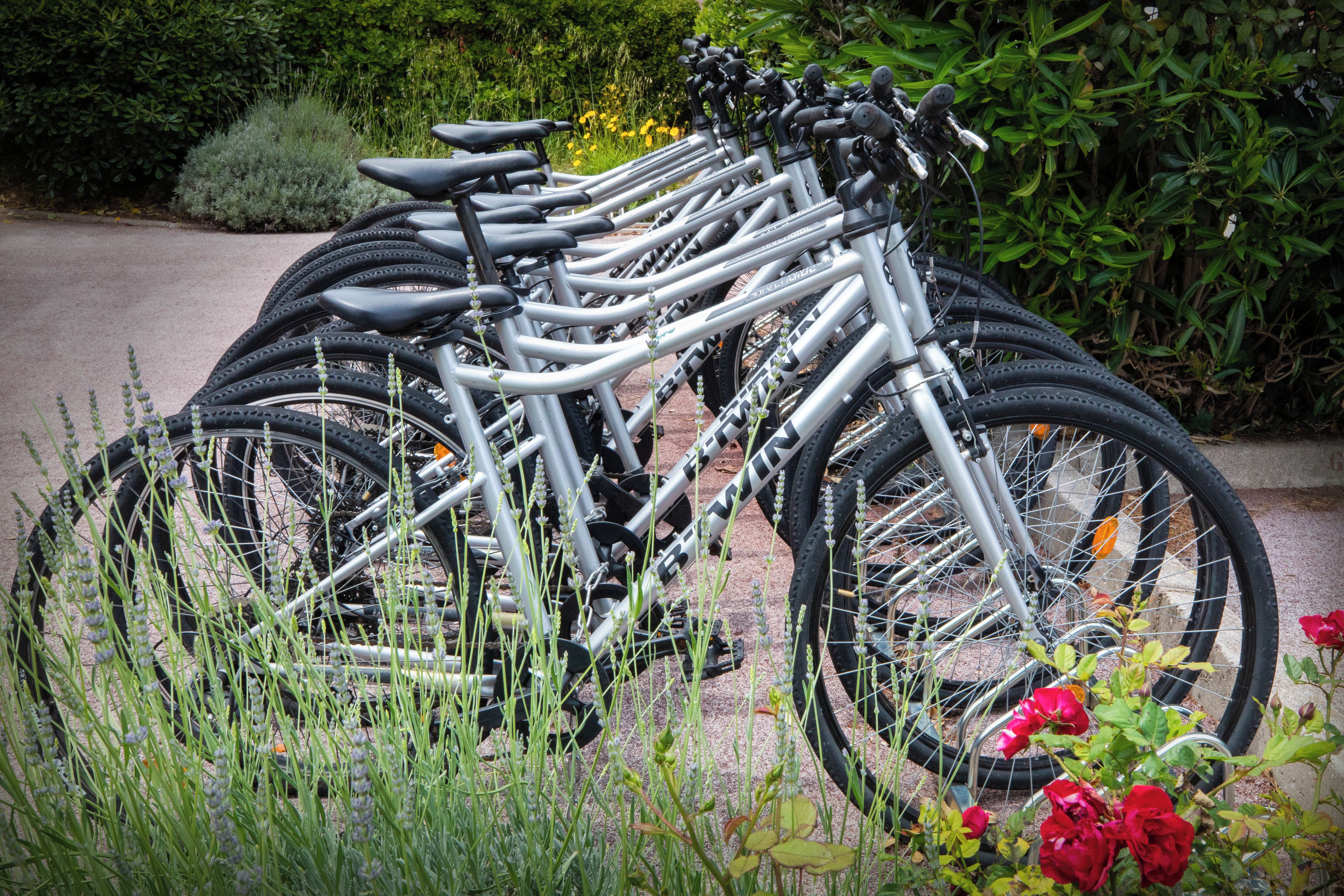 A row of bicycles parked in a garden with greenery and flowers around.