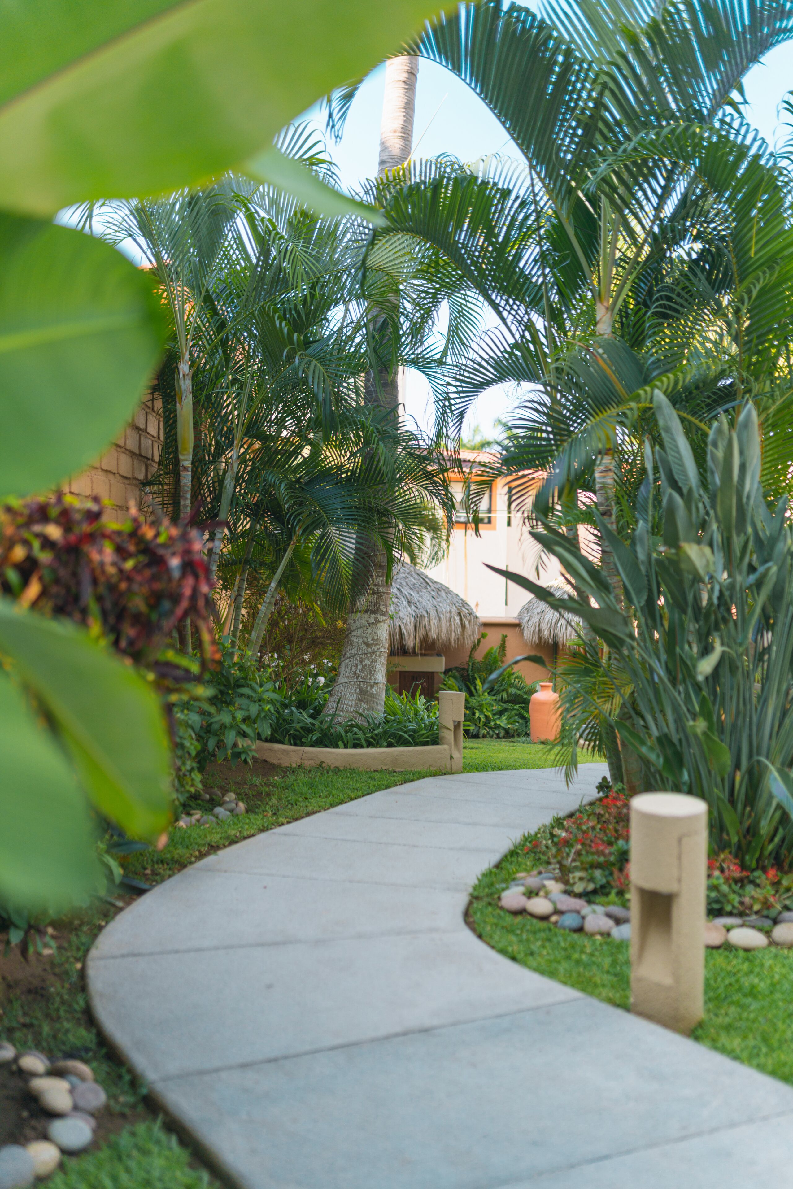 A curved pathway in a tropical garden with palm trees and a thatched-roof structure.
