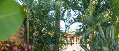 A curved pathway in a tropical garden with palm trees and a thatched-roof structure.