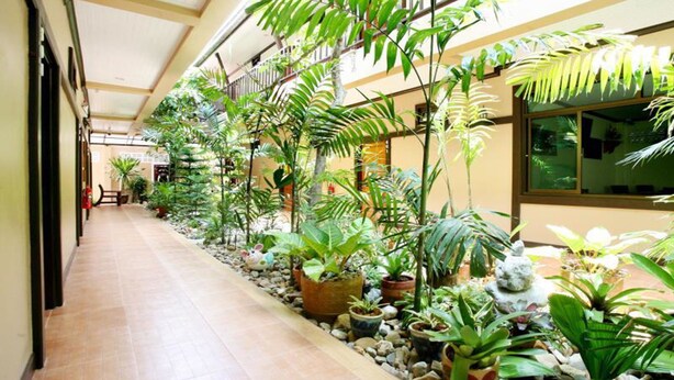 A corridor lined with potted plants and a tiled floor, leading to a building entrance. - Baan Na Khon Hotel (Nakhon Si Thammarat)