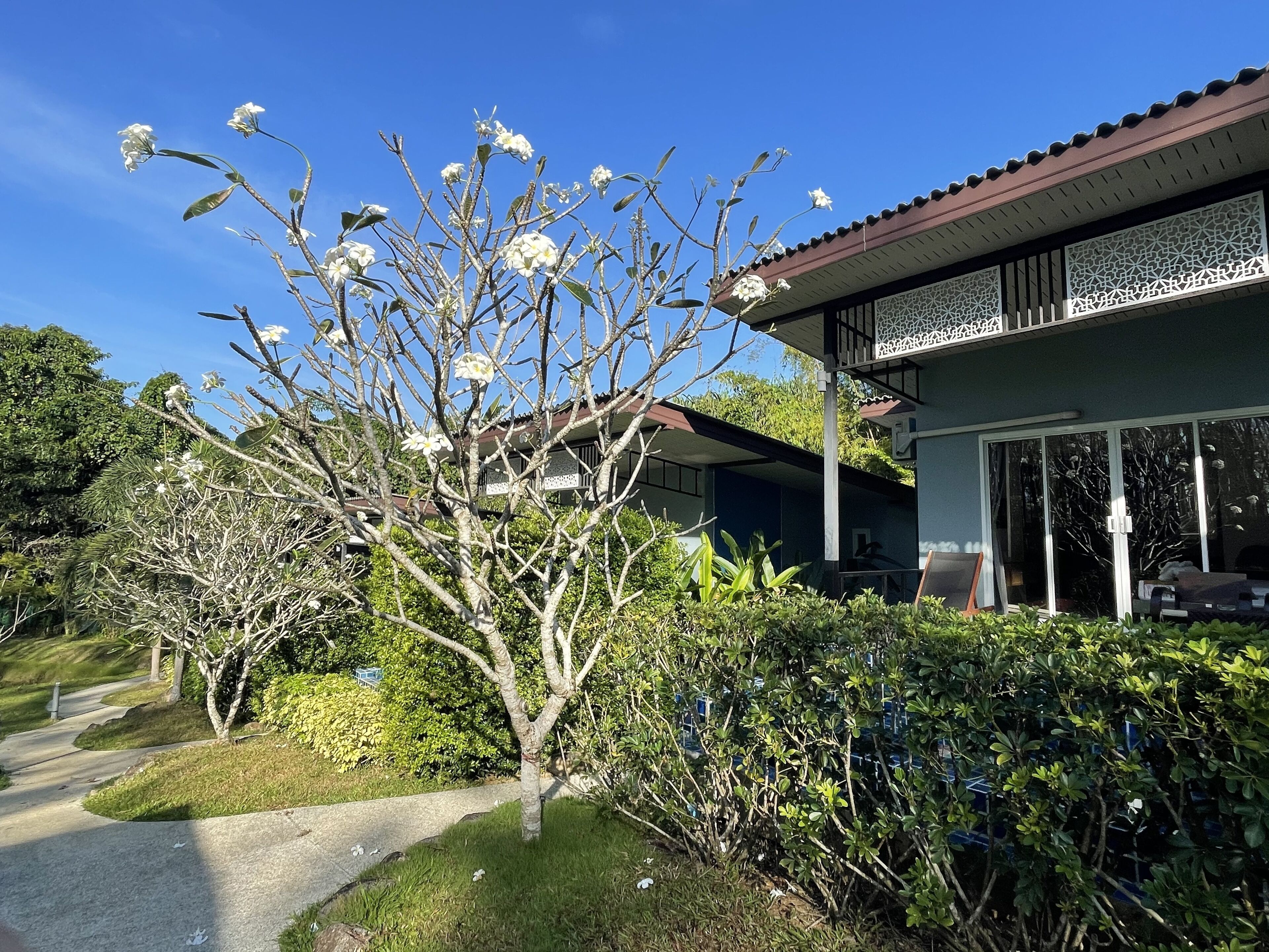 Vista frontal de la propiedad