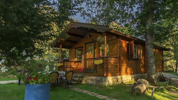 A wooden cabin with a porch, surrounded by trees and a grassy yard.