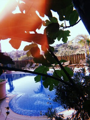 Una piscina amb un solàrium de fusta i gandules, envoltada per una tanca de fusta i arbres.