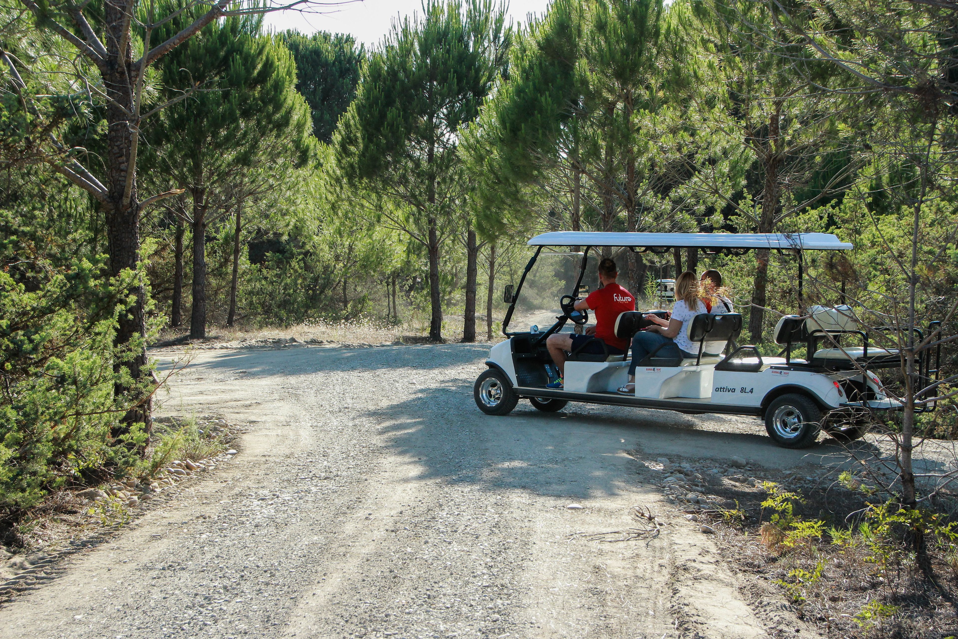 A golf cart on a gravel path surrounded by trees.