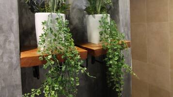 Shower, free toiletries, towels