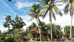 Coconut Cottage | 中庭