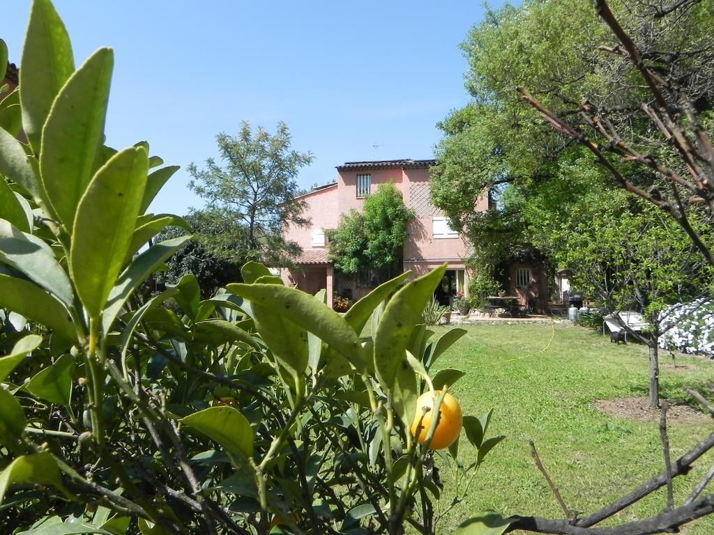 Photo - B&B Le clos des vignes Saint Raphael