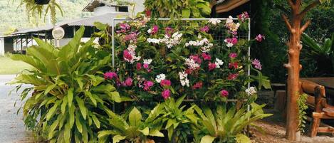 Un jardín con diversas plantas y flores, un banco de madera y una valla metálica.