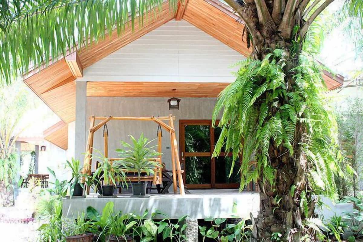 A modern house with a wooden roof, large windows, and a variety of potted plants.