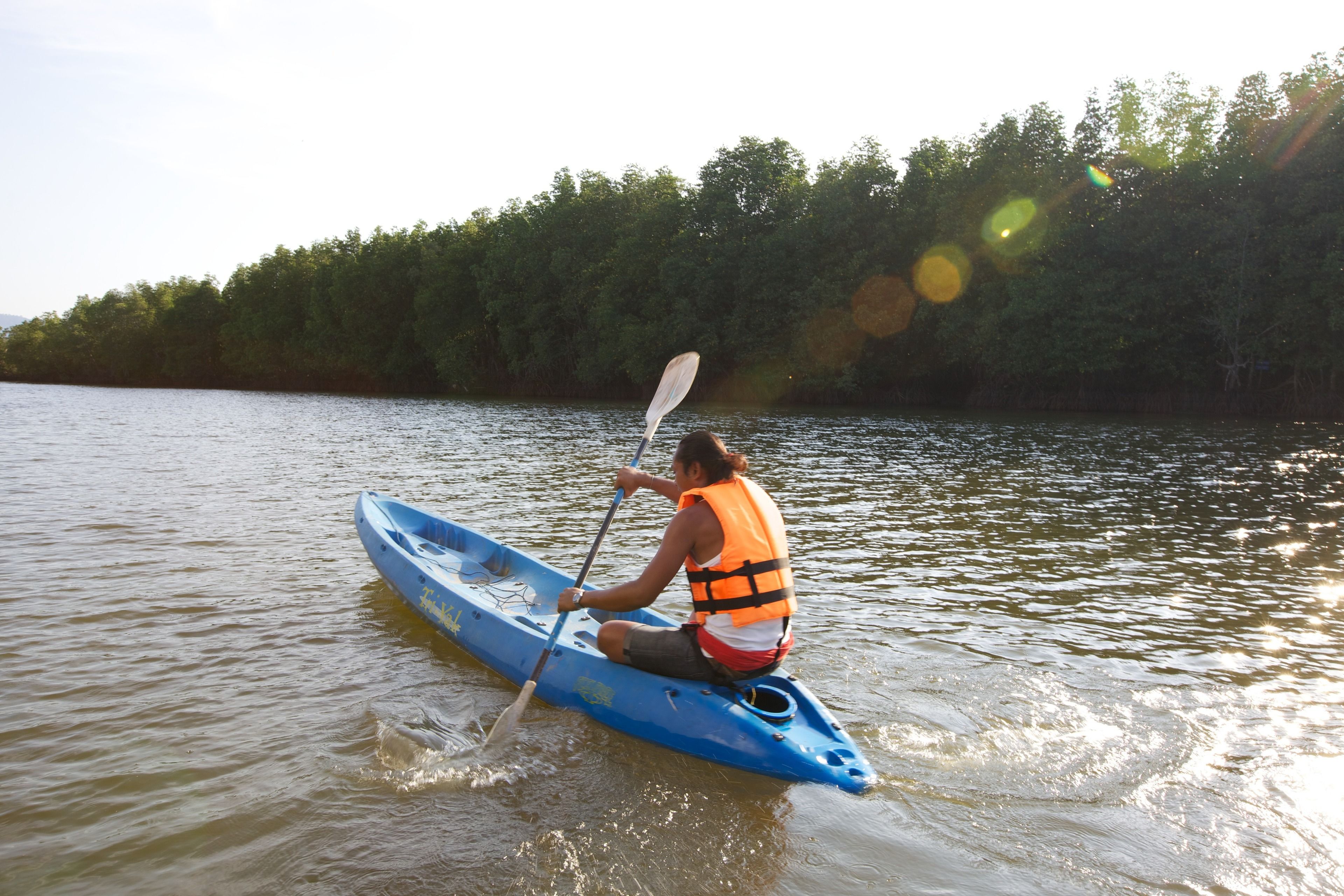 A person kayaking on a calm river surrounded by dense trees.