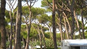 Ein Campingplatz mit einem Kiesweg, der zu einem weißen Wohnmobil führt.