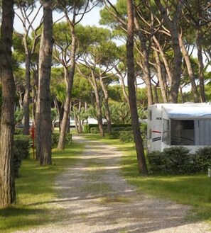 Enceinte de lâhĂ©bergement