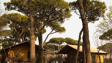 Vista dalla camera
