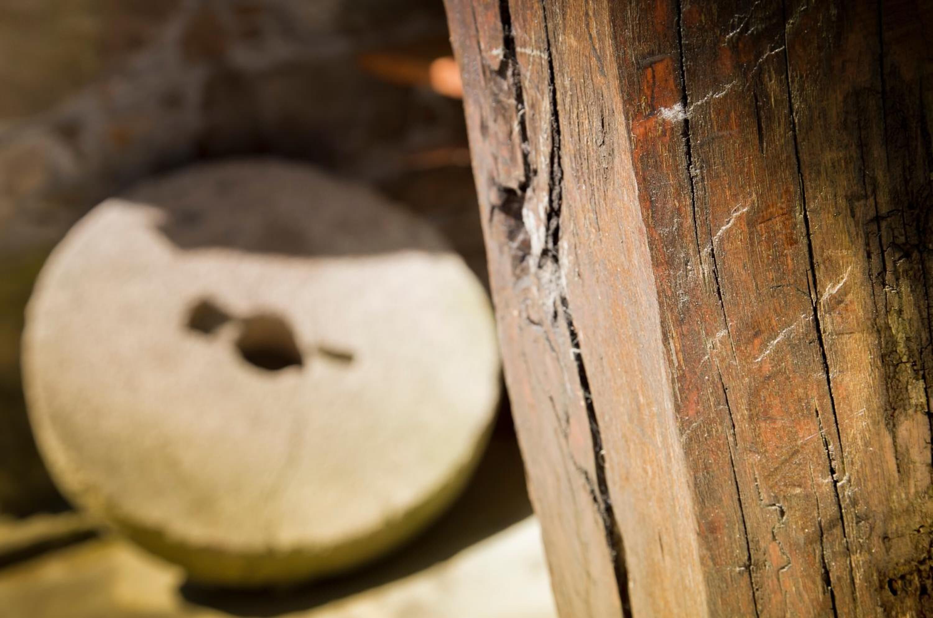 Foto - Costa da Egoa