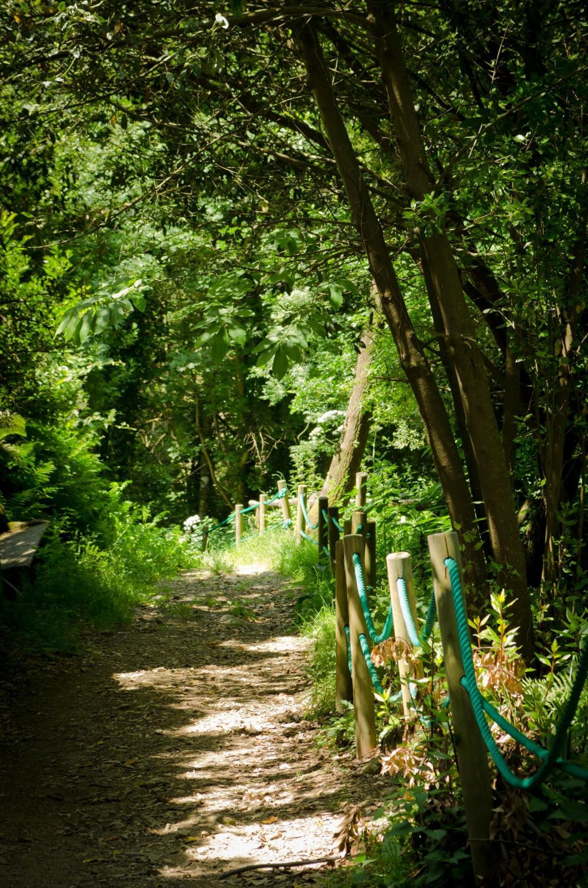 Foto - Costa da Egoa