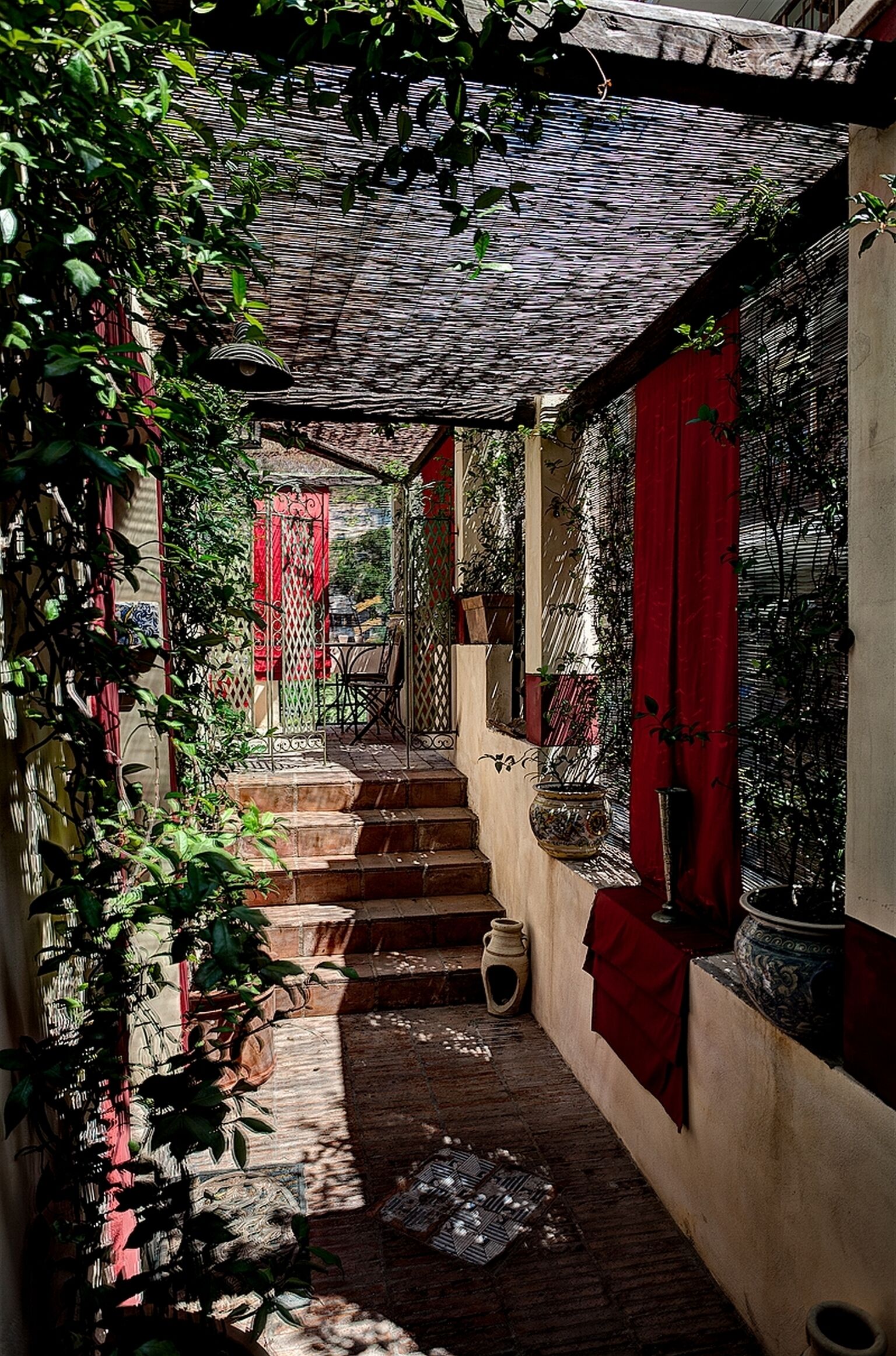 Un estrecho pasillo exterior con escalones que llevan a una zona cubierta, rodeado de plantas en macetas y un paño rojo.