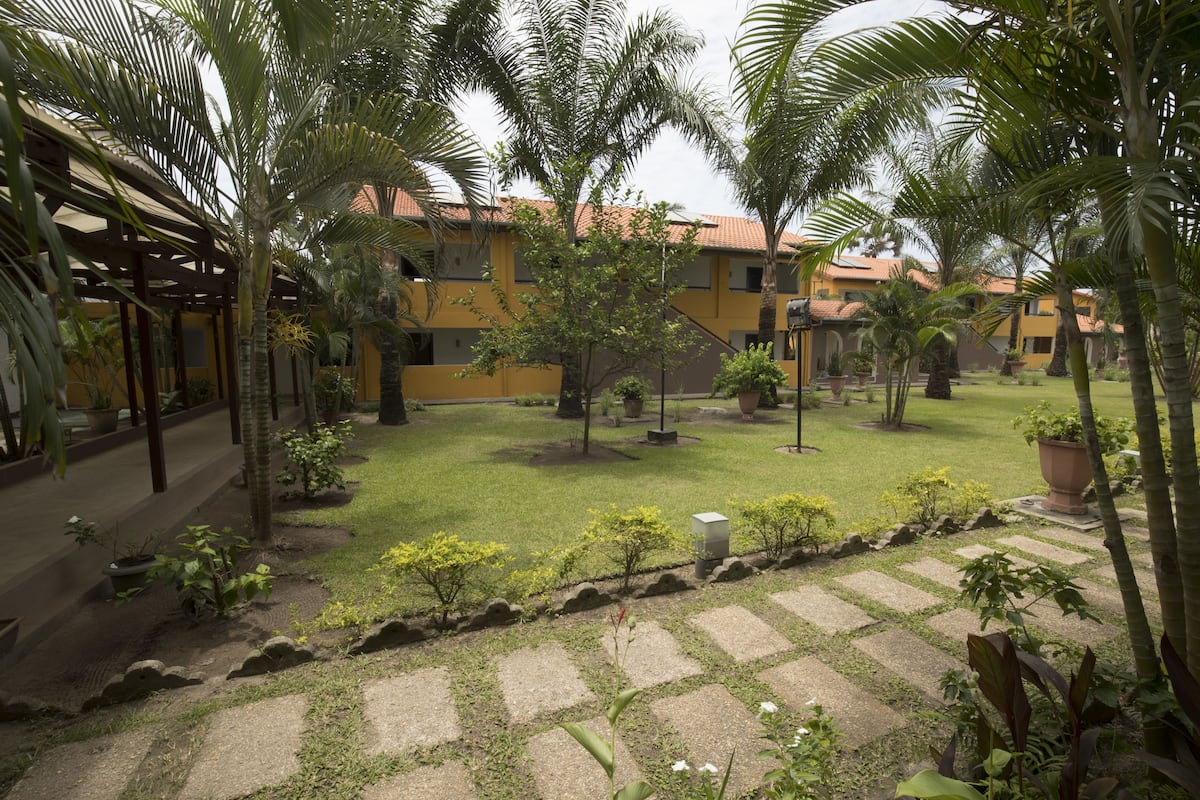 Un patio con palmeras, un sendero empedrado y un edificio de fachada amarilla.