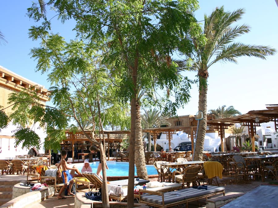 Una piscina al aire libre, sombrillas, sillones reclinables de piscina