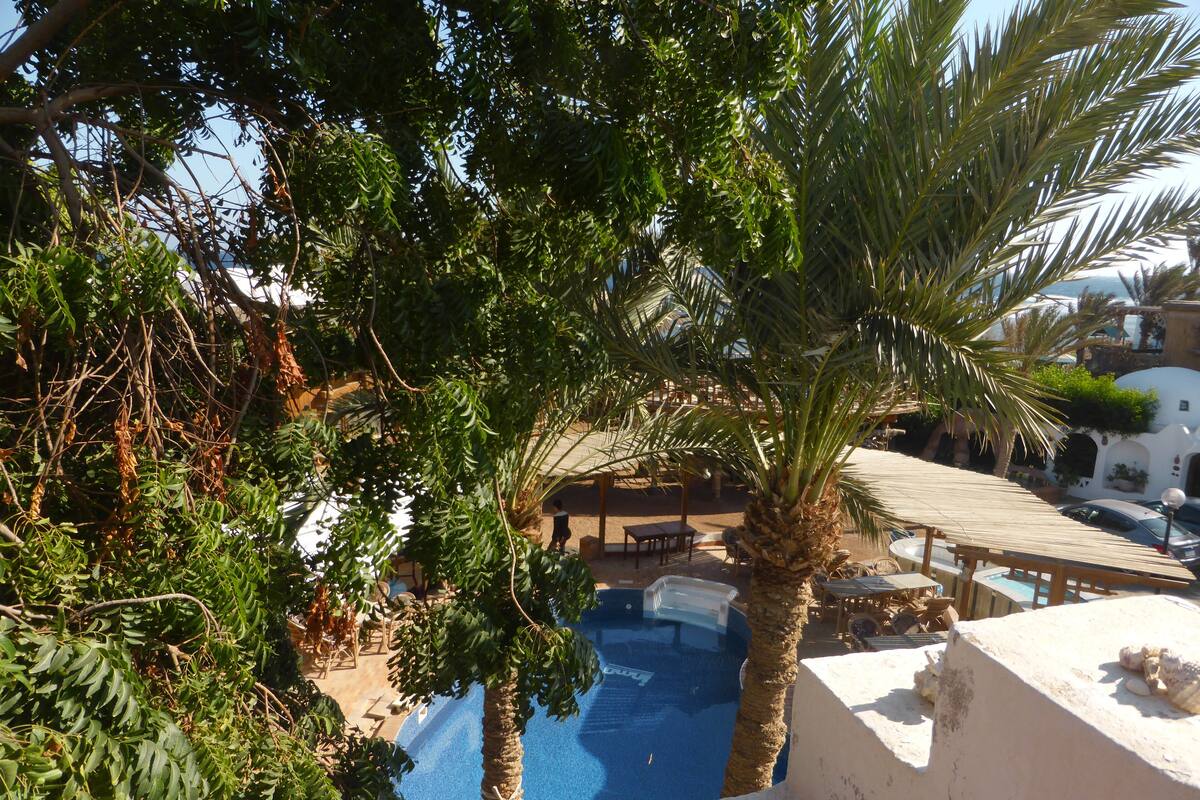 A pool area with palm trees and lounge chairs, surrounded by a white building with a tiled roof.