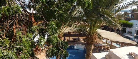 A pool area with palm trees and lounge chairs, surrounded by a white building with a tiled roof.