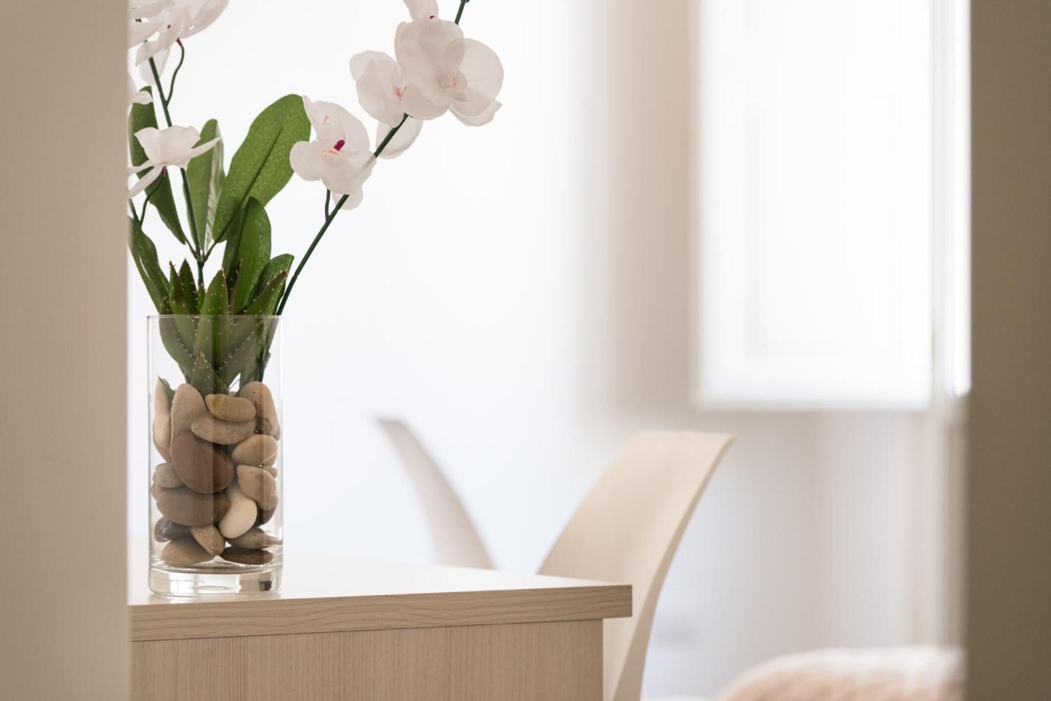 Photo - Gatto Bianco La Dimora Storica