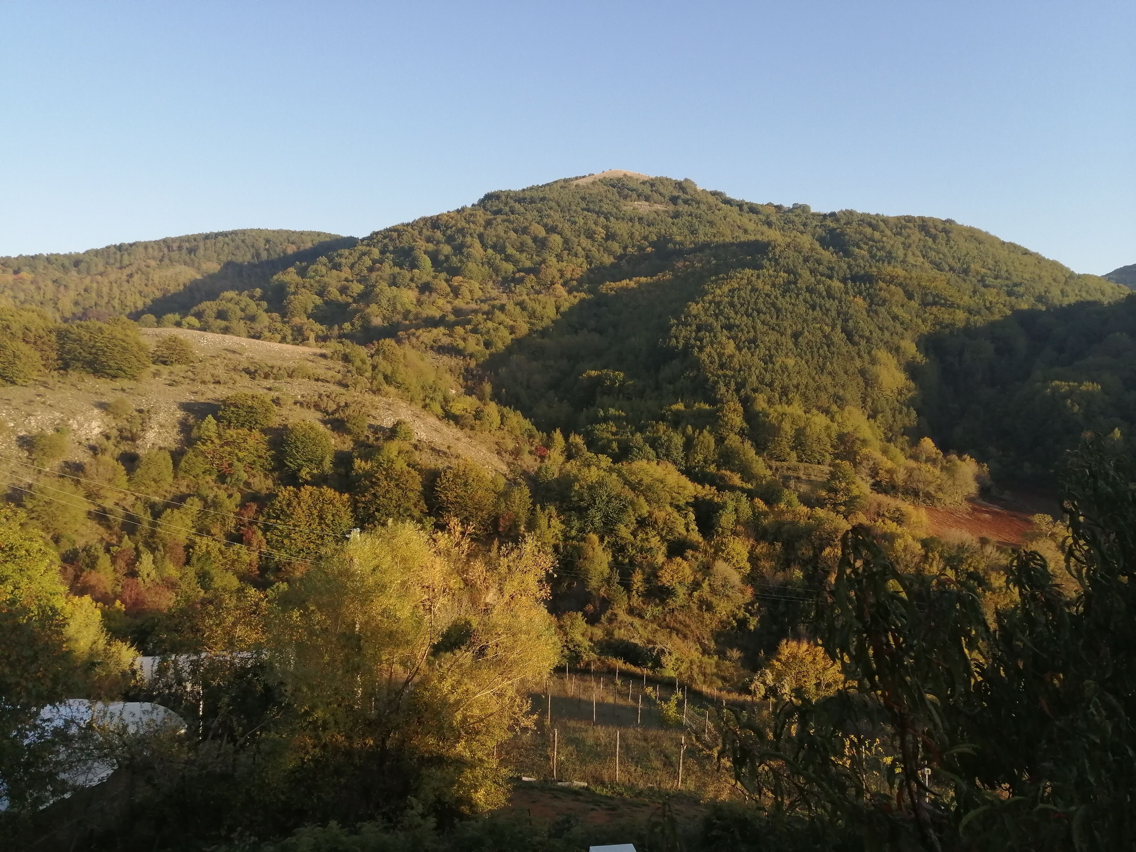 A mountainous landscape with dense forest coverage and a clear sky.