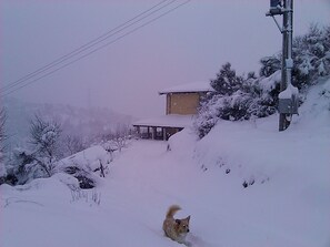 Exterior - B&B Il Ghiro - Country House (Mormanno)