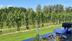 A table set outdoors with wine glasses, a bottle of wine, and a charcuterie board. - Wärdshuset Furuliden (Vittsjo)