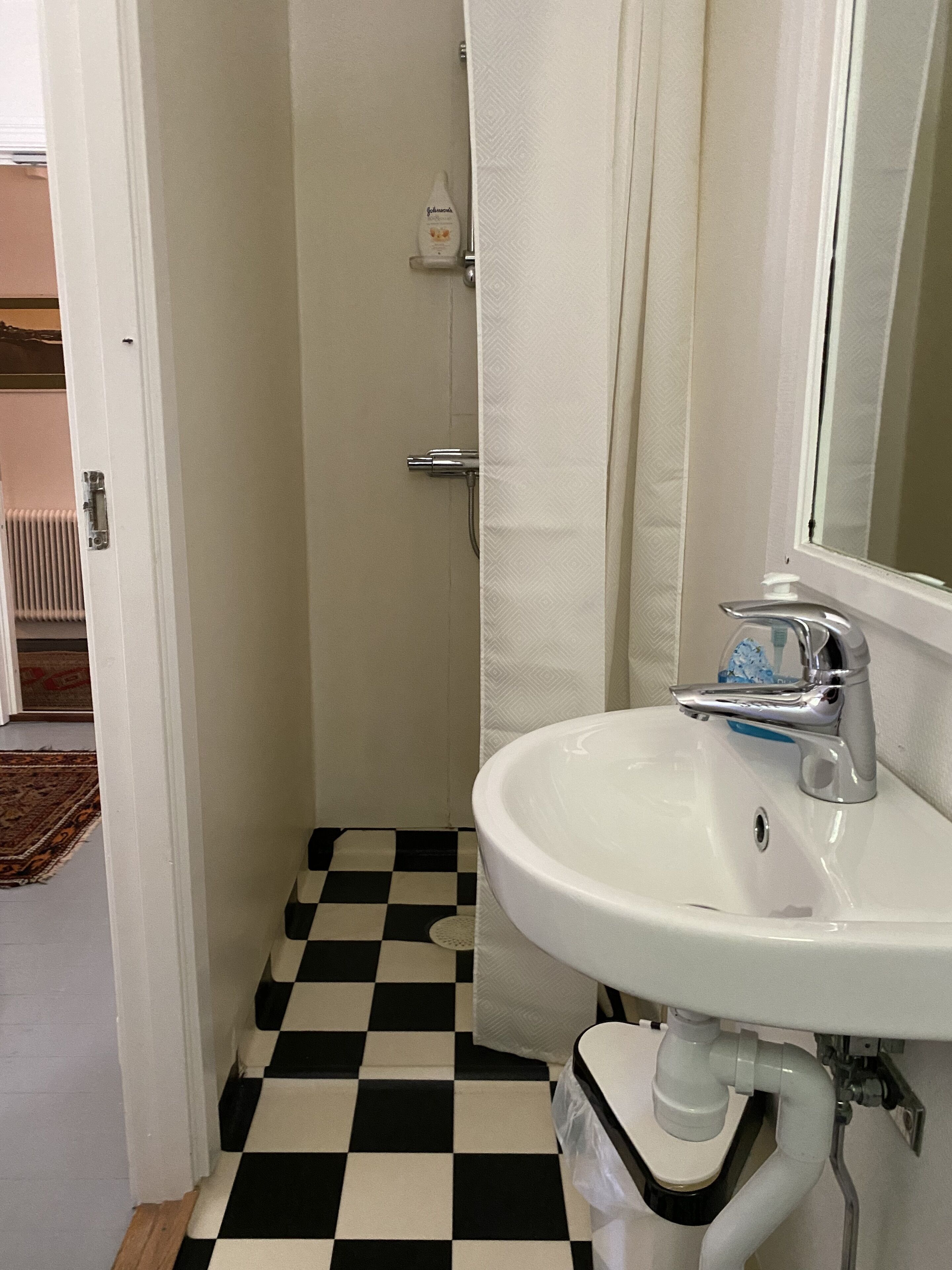 A bathroom with a white sink, a mirror, and a shower curtain.