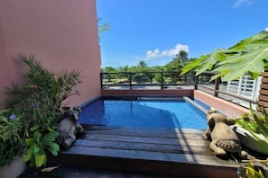 Piscina no terraço com deck de madeira, rodeada por plantas em vasos e vista do céu.