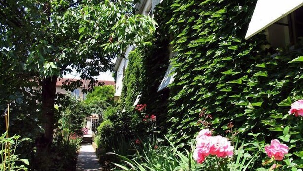A garden pathway with lush greenery and pink flowers.