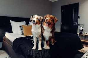 Pet-friendly - Clarion Hotel Aviapolis (Vantaa)