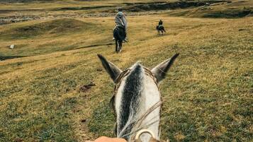 Reiten