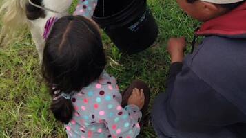 Children's activities