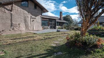 Stucco building with a well-manicured lawn and a tree in bloom, featuring a paved walkway and large windows.