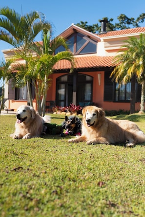 Loft | Minibar, in-room safe, free WiFi, bed sheets - Hotel Villa Rossa (Sao Roque)