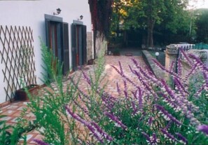 Property grounds - Case Zuccaro (Trecastagni)