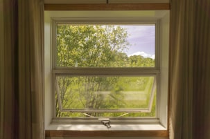 Vistas desde la habitación