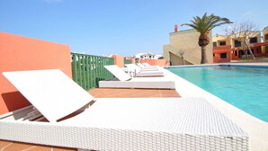 Zona junto a la piscina con sillones de descanso y una palmera.