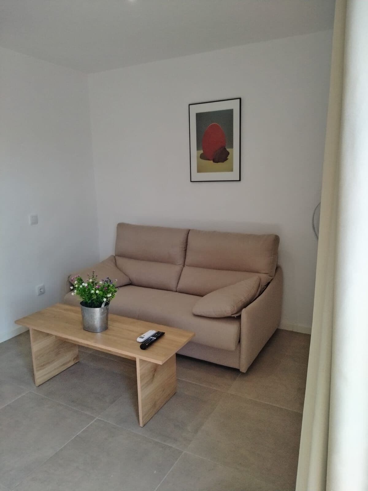 A living room with a beige sofa, a wooden coffee table with a plant and a remote control, and a framed picture on the wall.