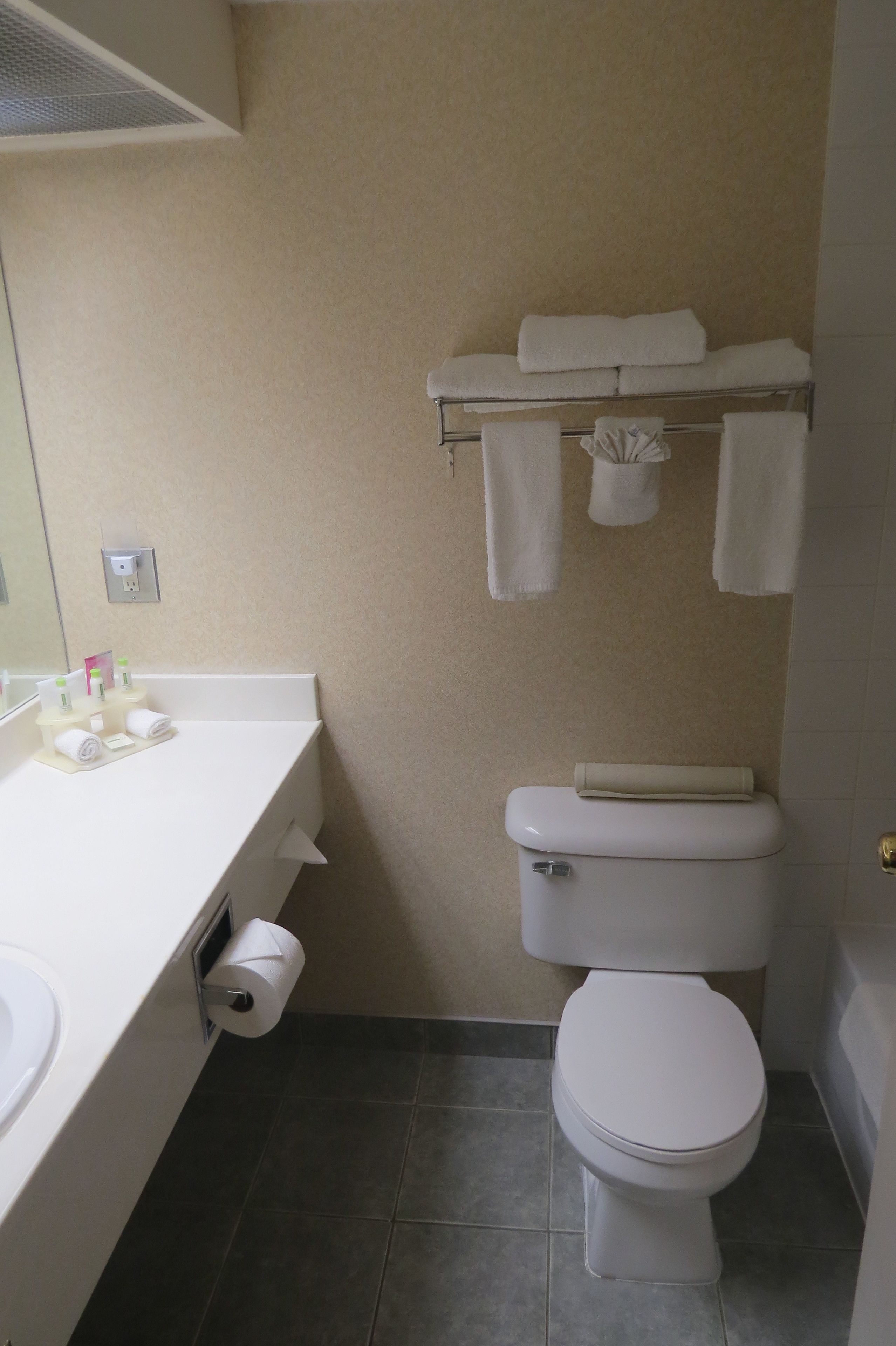 king room | bathroom | combined shower/bathtub, free toiletries, hair dryer, towels