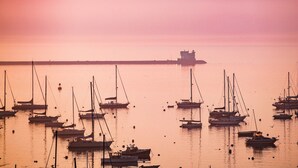 A harbor at sunset with multiple sailboats anchored in calm waters. - 250 Main Hotel (Rockland)