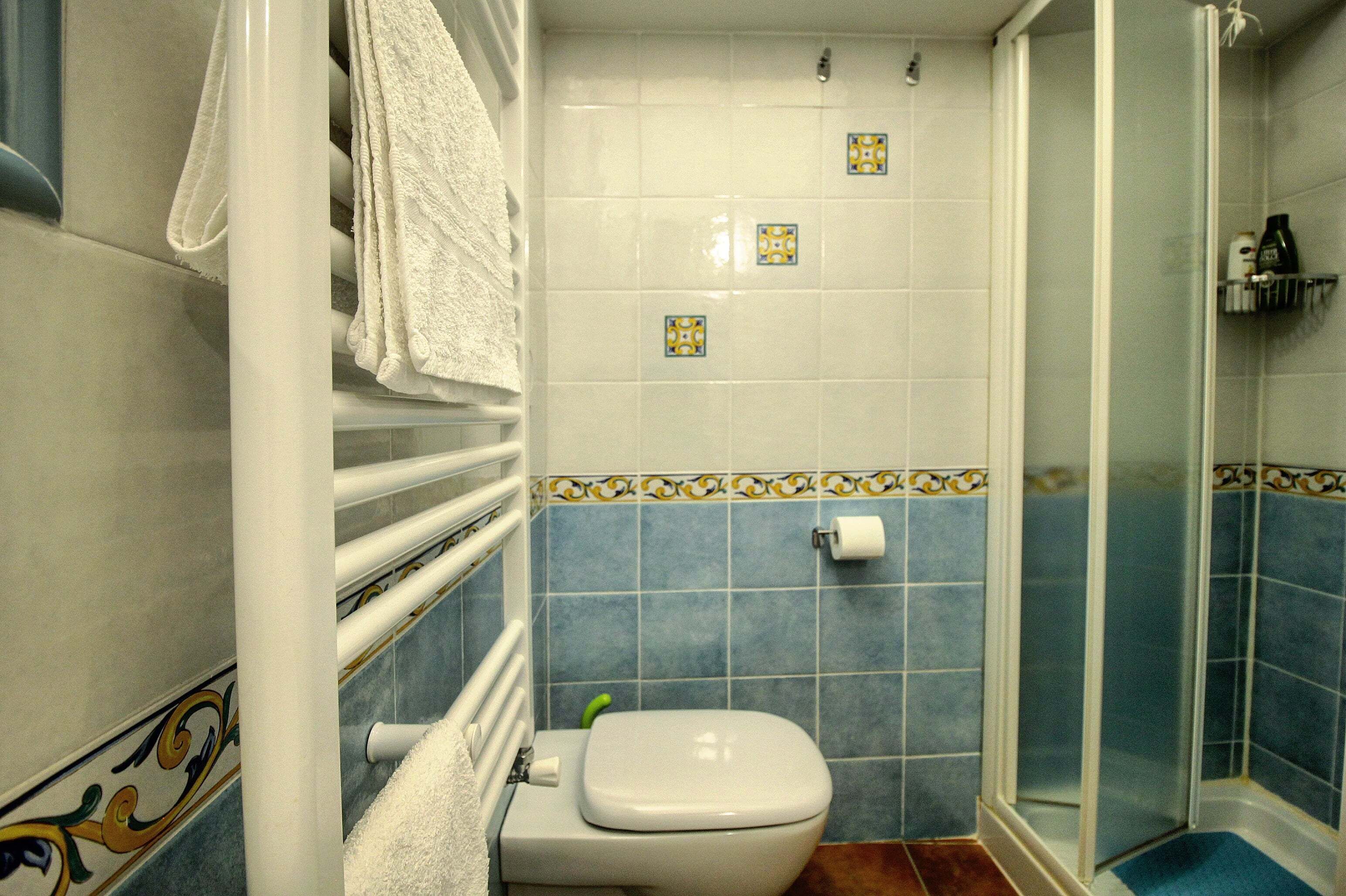Un baño con inodoro, ducha y toallero.