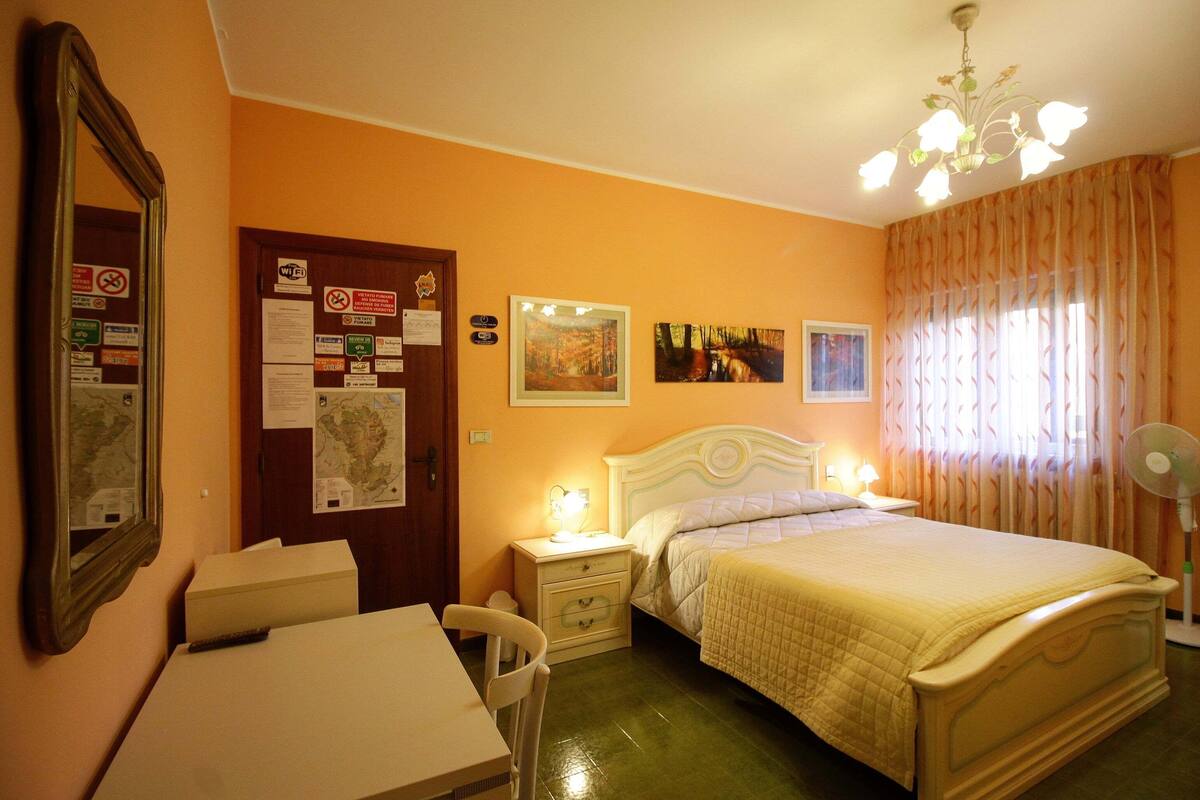 A bedroom with a bed, bedside table, lamp, and a mirror.
