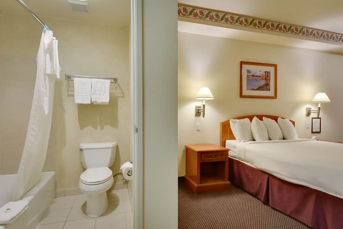 Ein Badezimmer mit Badewanne, Toilette und Duschvorhang. Der Raum verfügt über ein Bett mit Holz-Kopfteil, zwei Nachttische und eine Wandleuchte.
